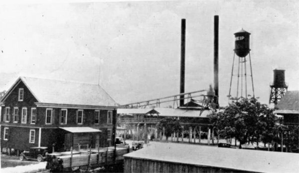 Sheips Lumber Co. - Apalachicola, Florida. 1920 (circa). State Archives of Florida, Florida Memory.